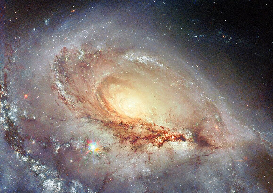 Review: 'Whitehead's Living Ontology: Five Principles of Process Philosophical Astrotheology'